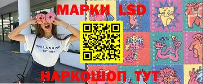 стаф Малгобек